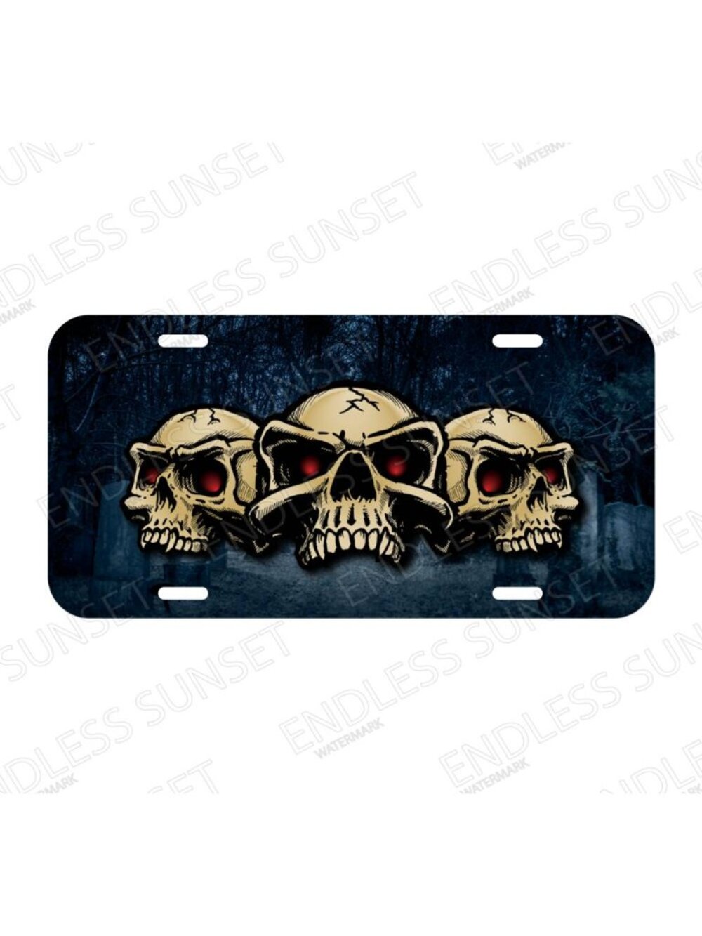NEW Skulls Skull Cráneo Calavera Skeleton License Plate CAR SUV Truck